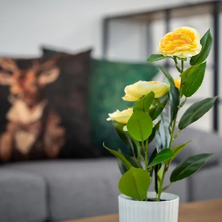 Summer Theatre Appartement Veliko Tarnovo